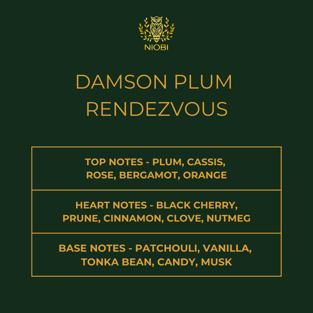 NIOBI Damson Plum Rendezvous Luxury Scented Candle | Hand-Poured Coconut–Rapeseed Wax | Dark Plum, Black Cherry & Amber | 250g
