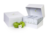 ProPectin Apple Pectin Powder - 100% Natural Supplement - BBD 31.05.2028